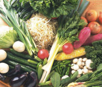 宏鴻農產品集團 打造一站式生鮮配送解決方案，守護餐桌上的鮮味與安心